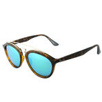 0RB4257F60923R 墨镜