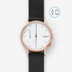 SKAGEN WATCH 男士手表