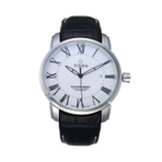 MENS LEATHER WATCH  MASTER SERIES 男士手表