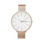 SKAGEN 手表