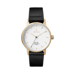 GOLD ELVA-BLACK CLASSIC  手表