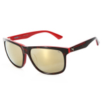 PU0085SK 003 HAVANA HAVANA GOLD 男士墨镜