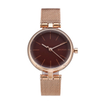 SKAGEN WATCH  女士手表