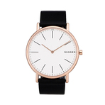 SKAGEN WATCH 男士手表