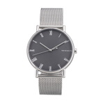 SKAGEN WATCH 男士手表