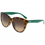 L801SK 220 58  墨镜