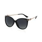 0BV8201BF501 T3 墨镜