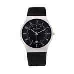 SKAGEN WATCH 手表