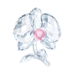 ORCHID