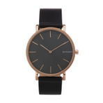 SKAGEN 男士手表