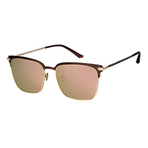 MOLSION SUNGLASS MSS 7003 D20 墨镜