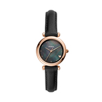 FOSSIL WATCH 手表