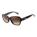 0HC8160F512013  墨镜