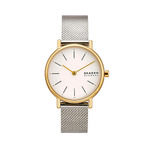 SKAGEN 手表