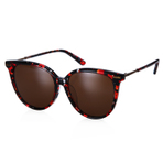 BV0103SA 004 墨镜 HAVANA BRONZE BROWN