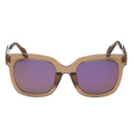 DOR - CLEAR.BROWN/PURPLE  墨镜