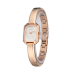 DKNY WATCH  手表