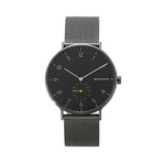 SKAGEN 手表