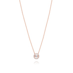 D0021 NECKLACE 项链