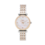 FOSSIL WATCH 手表