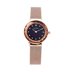 SKAGEN 手表