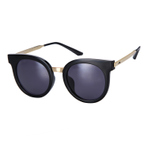 MSS 6020 C10  墨镜