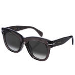 CL 41083 F S  墨镜