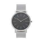 SKAGEN 手表