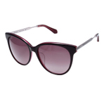 EDS1059 PURPLE 墨镜