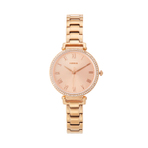 FOSSIL WATCH 手表