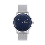 SKAGEN 手表