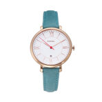 FOSSIL WATCH 手表