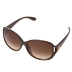 SUNGLASS 16P CC(DARK BROWN)  墨镜