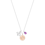 ZODIAC PENDANT CAPRICORN AYST CRY RHS 项链