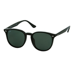 0RB4259F601 71 墨镜