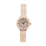 STELLARE WATCH 手表
