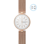 SKAGEN WATCH  手表