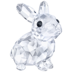BABY RABBIT 水晶