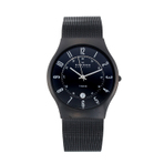 SKAGEN 手表