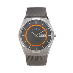 SKAGEN WATCH  男士手表