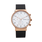 SKAGEN WATCH 男士手表
