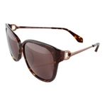 EDS1055 TORTOISE 墨镜