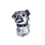 PUG ROXY
