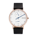 SKAGEN WATCH  男士手表