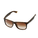 0RB4165F856 13 墨镜