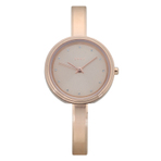 DKNY WATCH  女士手表