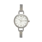 FOSSIL WATCH 手表