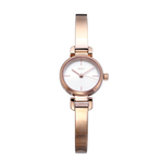 DKNY WATCH 女士手表