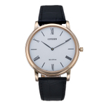 ECODRIVE 男士手表