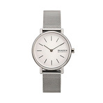 SKAGEN  手表